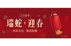九游体育|欢庆元旦·喜迎新春